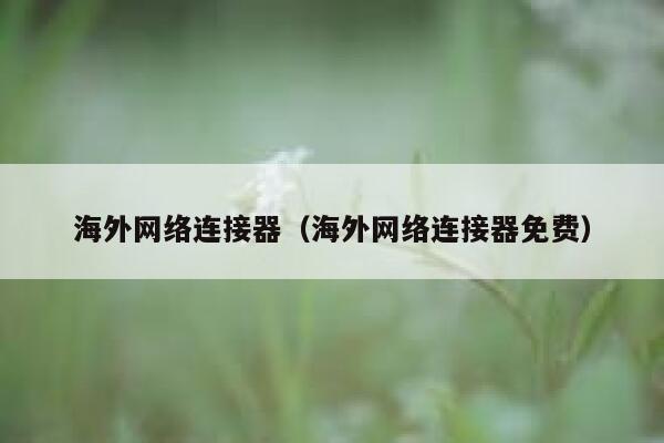 海外网络连接器（海外网络连接器免费） 第1张
