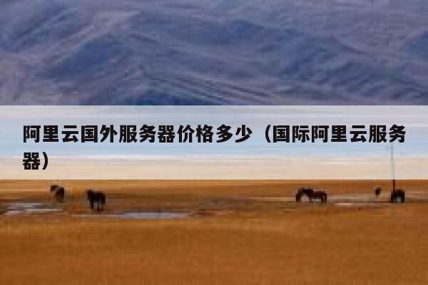 阿里云国外服务器价格多少（国际阿里云服务器） 第1张