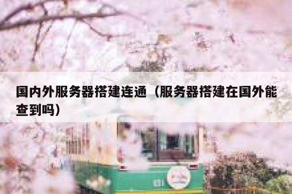 国内外服务器搭建连通（服务器搭建在国外能查到吗） 第1张