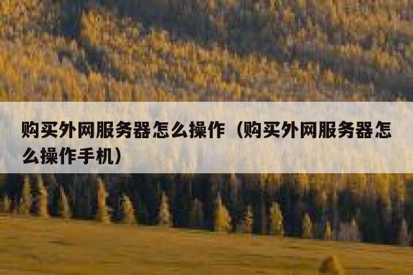购买外网服务器怎么操作（购买外网服务器怎么操作手机） 第1张