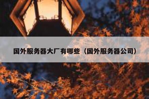 国外服务器大厂有哪些（国外服务器公司） 第1张