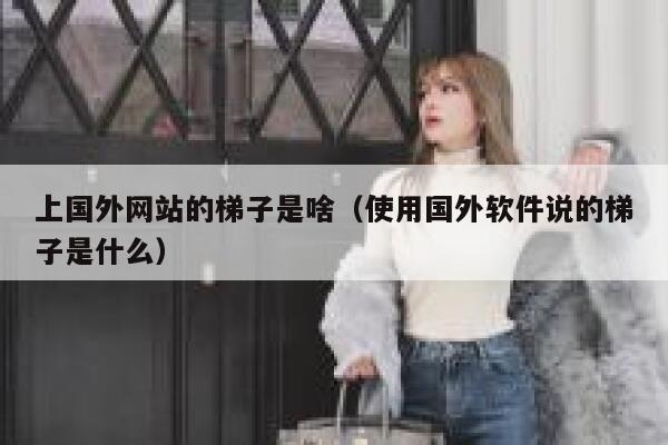 上国外网站的梯子是啥（使用国外软件说的梯子是什么） 第1张