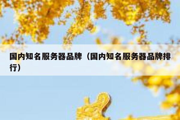 国内知名服务器品牌（国内知名服务器品牌排行） 第1张
