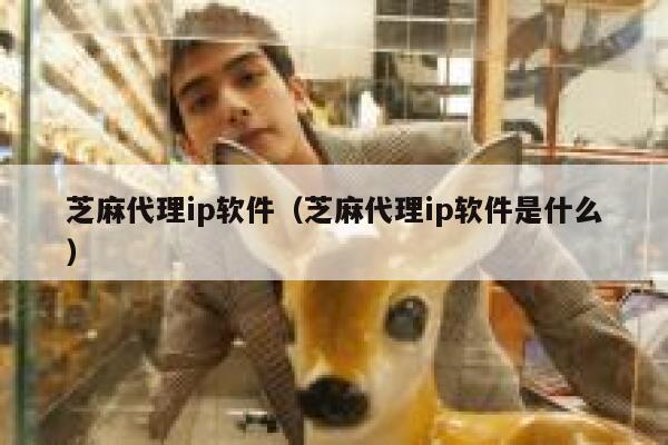 芝麻代理ip软件（芝麻代理ip软件是什么） 第1张