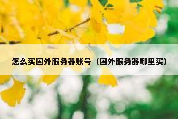 怎么买国外服务器账号（国外服务器哪里买） 第1张