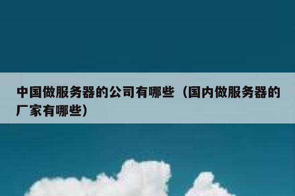 中国做服务器的公司有哪些（国内做服务器的厂家有哪些） 第1张
