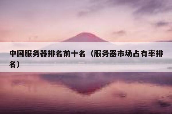 中国服务器排名前十名（服务器市场占有率排名） 第1张