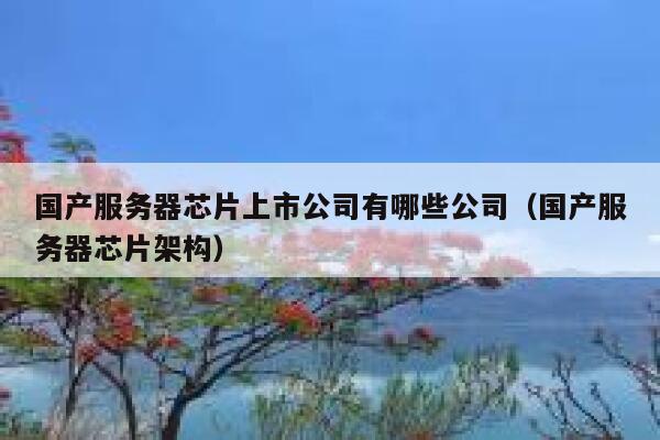 国产服务器芯片上市公司有哪些公司（国产服务器芯片架构） 第1张