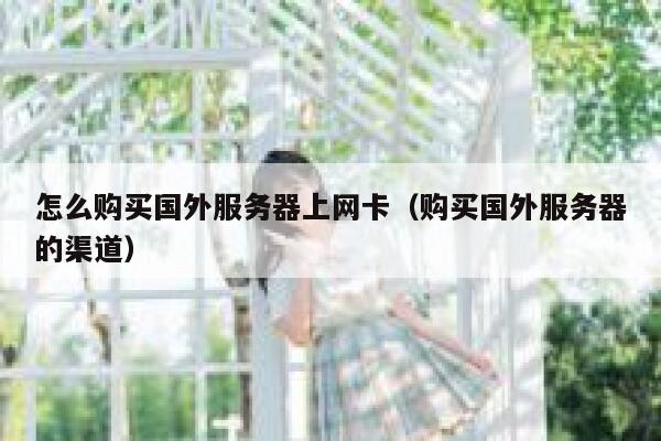 怎么购买国外服务器上网卡（购买国外服务器的渠道） 第1张