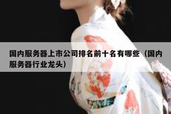国内服务器上市公司排名前十名有哪些(国内服务器行业龙头) 第1张 国内服务器上市公司排名前十名有哪些(国内服务器行业龙头) 第1张
