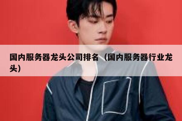 国内服务器龙头公司排名(国内服务器行业龙头) 第1张 国内服务器龙头公司排名(国内服务器行业龙头) 第1张