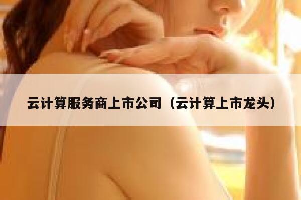 云计算服务商上市公司(云计算上市龙头) 第1张 云计算服务商上市公司(云计算上市龙头) 第1张