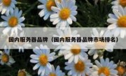 国内服务器品牌（国内服务器品牌市场排名）