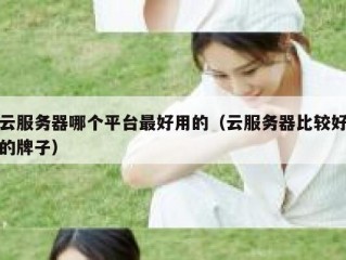 云服务器哪个平台最好用的（云服务器比较好的牌子）