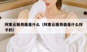 阿里云服务器是什么（阿里云服务器是什么样子的）