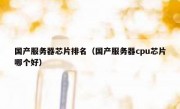 国产服务器芯片排名（国产服务器cpu芯片哪个好）