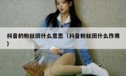 抖音的粉丝团什么意思（抖音粉丝团什么作用）