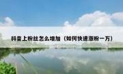 抖音上粉丝怎么增加（如何快速涨粉一万）