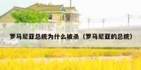 罗马尼亚总统为什么被杀（罗马尼亚的总统）