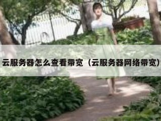 云服务器怎么查看带宽（云服务器网络带宽）