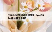 youtube如何计算播放量（youtube播放量怎么看）