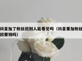 抖音加了粉丝团别人能看见吗（抖音里加粉丝团要钱吗）