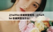 上twitter会被网警抓吗（上twitter会被网警监控么）