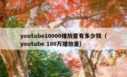 youtube10000播放量有多少钱（youtube 100万播放量）