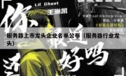 服务器上市龙头企业名单公布（服务器行业龙头）