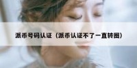 派币号码认证（派币认证不了一直转圈）