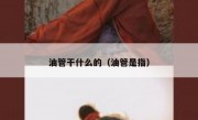 油管干什么的（油管是指）