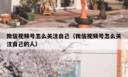 微信视频号怎么关注自己（微信视频号怎么关注自己的人）