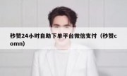 秒赞24小时自助下单平台微信支付（秒赞comn）