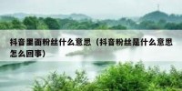 抖音里面粉丝什么意思（抖音粉丝是什么意思怎么回事）