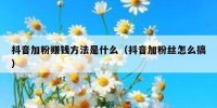 抖音加粉赚钱方法是什么（抖音加粉丝怎么搞）