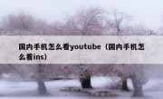 国内手机怎么看youtube（国内手机怎么看ins）