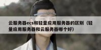 云服务器ecs和轻量应用服务器的区别（轻量应用服务器和云服务器哪个好）