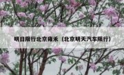 明日限行北京雍禾（北京明天汽车限行）