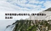 海外服务器ip地址填什么（海外服务器ip怎么填）
