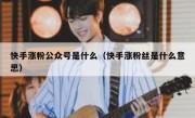 快手涨粉公众号是什么（快手涨粉丝是什么意思）