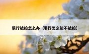 限行被拍怎么办（限行怎么能不被拍）