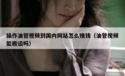 操作油管视频到国内网站怎么赚钱（油管视频能搬运吗）