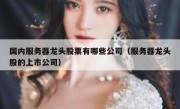 国内服务器龙头股票有哪些公司（服务器龙头股的上市公司）