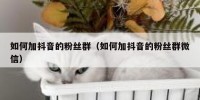 如何加抖音的粉丝群（如何加抖音的粉丝群微信）