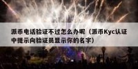 派币电话验证不过怎么办呢（派币Kyc认证中提示向验证员显示你的名字）