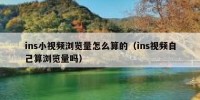 ins小视频浏览量怎么算的（ins视频自己算浏览量吗）