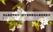 怎么用花呗支付（支付宝转账怎么用花呗支付）