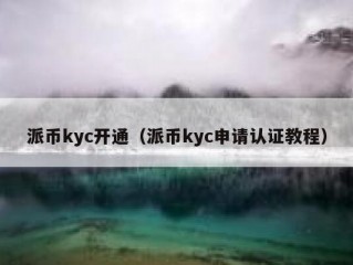 派币kyc开通（派币kyc申请认证教程）
