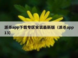 派币app下载专区安装最新版（派币app13）