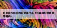 抖音加粉丝团的好处是什么（抖音加粉丝团是干嘛的）